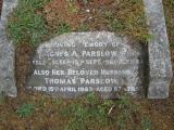 image of grave number 81907